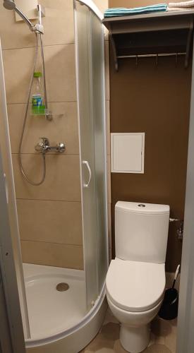 ein kleines Badezimmer mit Toilette und Dusche in der Unterkunft Karoso Apartment in Klaipėda