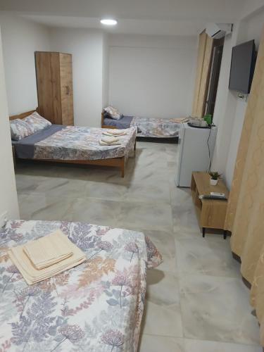 Postel nebo postele na pokoji v ubytování Villa Andrej Elshani