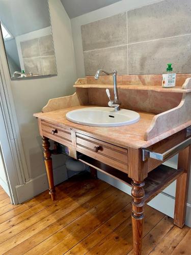 a bathroom with a sink and a mirror at Les chambres du Chateau de Farge-Allichamps in Farges-Allichamps
