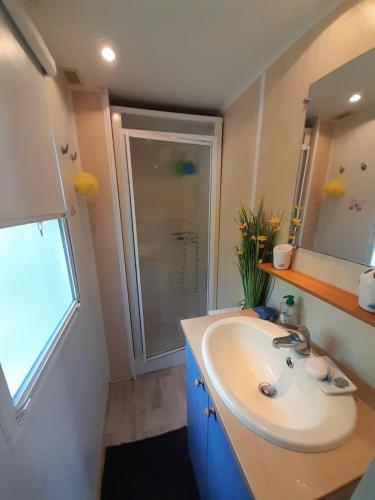 a bathroom with a sink and a mirror and a shower at Camping l'Escale Mobil'home Giana in Agde
