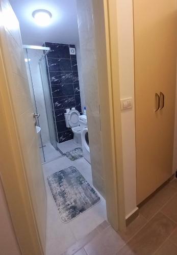 a bathroom with a toilet with a shower and a door at Apartman Vuk in Bar