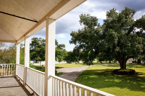 a view from the porch of a house with a tree at Ormond Manor in Destrehan