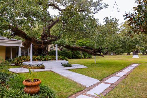 a tree in a yard next to a house at Ormond Manor in Destrehan