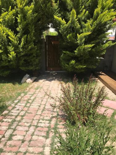 a gate to a yard with two pine trees at House Under the Pines next to the sea in Mesochórion