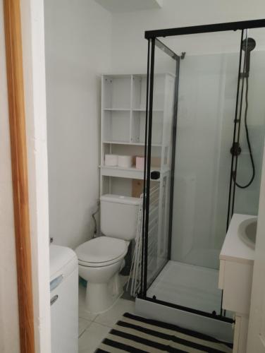 une petite salle de bain avec toilettes et douche dans l'établissement Poterie d'Art, à Embrun