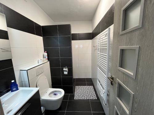 a bathroom with a black and white tile floor at Apartmán na vinné stezce in Blatnice