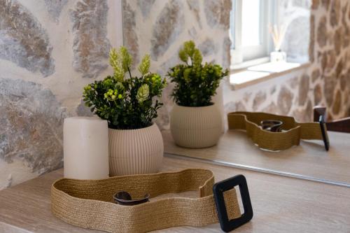 two white vases with plants in them on a table at Superior Apartment A in Tsoukaladhes