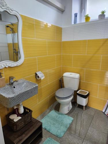 a bathroom with a toilet and a sink and a mirror at Retro House ogród prywatny parking x 2 i stacja ładowania parter in Przemyśl