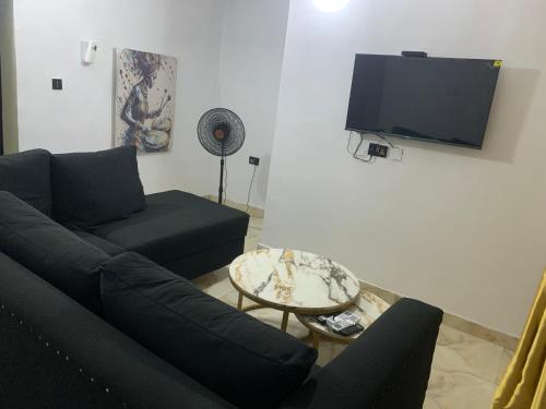 a living room with a couch and a tv at Stem Properties in Lagos
