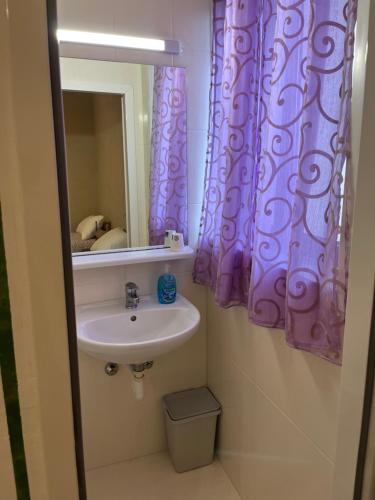 a bathroom with a sink and a purple shower curtain at Agriturismo al Ranch in Castello dʼAviano