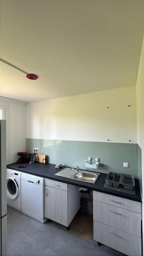 une cuisine avec un évier et une machine à laver dans l'établissement Magnifique appartement moderne 3 chambres, à Montréjeau