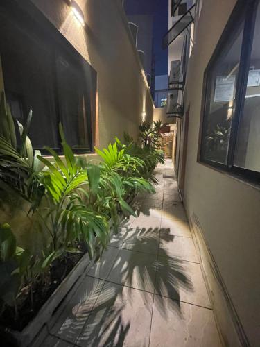 a hallway with plants on the side of a building at Pousada Maré Alta em Pajuçara in Maceió