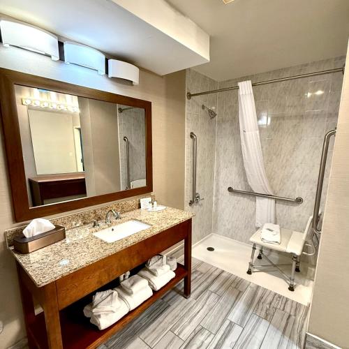 a bathroom with a sink and a shower at Ramada by Wyndham Denver International Airport in Denver