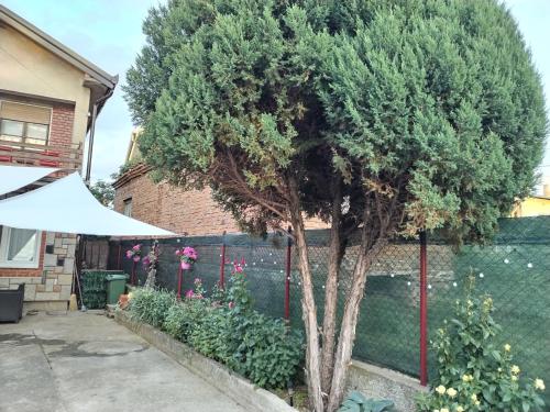 a tree in a yard next to a fence at Family House in Golubac
