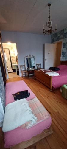 a living room with two beds and a tv at Chez Virginie - chambre du Bourg in Lourdes