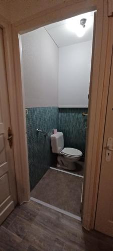 a bathroom with a toilet and a green tiled wall at Chez Virginie - chambre du Bourg in Lourdes