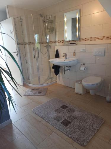 a bathroom with a sink and a toilet and a shower at Landblick - idyllische Wohnung an der Nordsee in Simonsberg