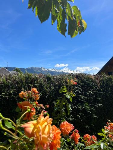 a hedge with flowers and mountains in the background at Maison avec vue Montagne pour les amateurs de Vélo VTT et Randonnées Massages sur rendez-vous in Mercury