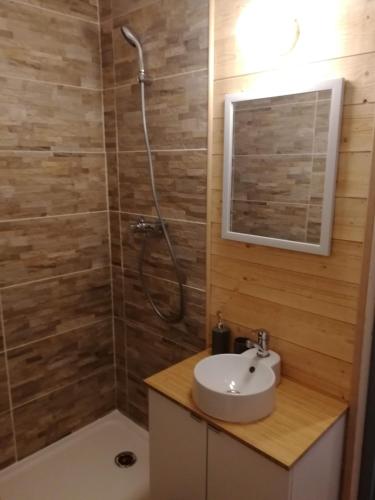 une salle de bain avec un lavabo et une douche dans l'établissement Appartement au pied des pistes, à Montclar
