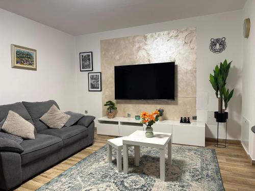 Marina Spacious Family Apartment