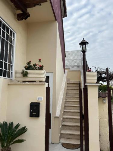 a stairway with two potted plants on a house at La Casetta di Elena in LʼAmericano