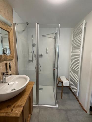 a bathroom with a glass shower and a sink at Landlust Ischl in Bad Ischl