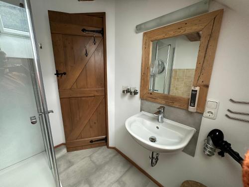 a bathroom with a sink and a shower and a mirror at Landlust Ischl in Bad Ischl