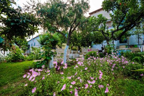 Κήπος έξω από το Flower Garden Villa