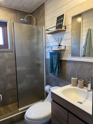 a bathroom with a shower and a toilet and a sink at Refugio Vista Sierra Nevada in Malalcahuello