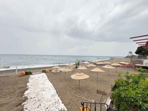 a group of umbrellas on a beach with the ocean at The Garden Tiny Homes in Ayvacık