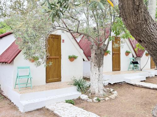a house with a blue chair and a tree at The Garden Tiny Homes in Ayvacık