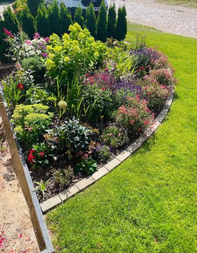 a garden of colorful flowers in a yard at Idyllisches Dorfhaus vor Usedom in Gützkow