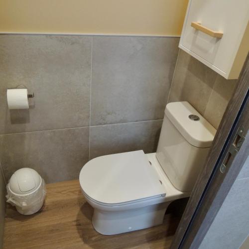 a bathroom with a white toilet in a room at L'Écrin des Arts - appartement avec jardin au coeur de la Côte des Blancs in Avize