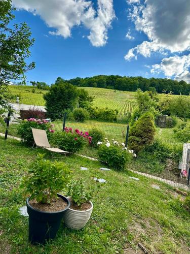 a garden with potted plants and a bench in the grass at L'Écrin des Arts - appartement avec jardin au coeur de la Côte des Blancs in Avize