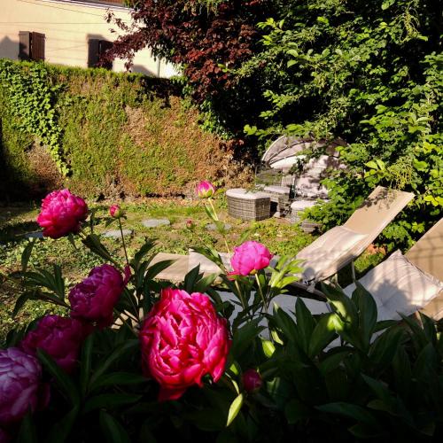 a group of pink flowers in a garden at L'Écrin des Arts - appartement avec jardin au coeur de la Côte des Blancs in Avize