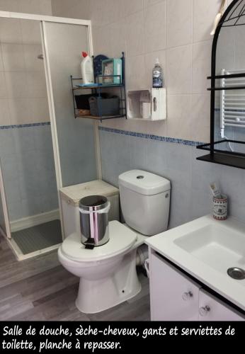 une salle de bain avec toilettes, douche et lavabo dans l'établissement Chez Nathalie, à Montauban