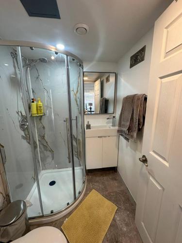 a bathroom with a shower and a sink at Nimo Homestay , New Entire Studio Apartment Guelph in Guelph