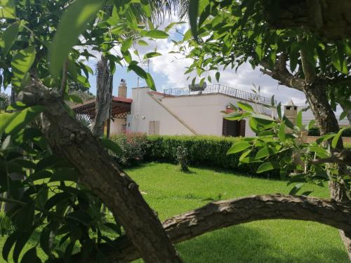 Blick auf ein Haus durch die Bäume in der Unterkunft Villa in a lovely olive grove 10 minutes from the sea Ada residence in Specchia Gallone