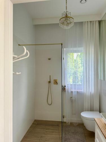 a bathroom with a glass shower and a toilet at Villa Mare in Gdańsk