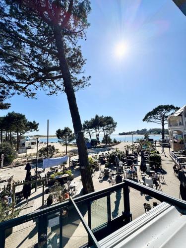 Elle offre une vue sur une plage bordée de chaises et d'arbres. dans l'établissement Les pieds dans l'eau - Beau T2, à Guidel