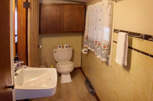 un bagno con un water e un lavandino di Nannie Bell's Cottage a Dundee