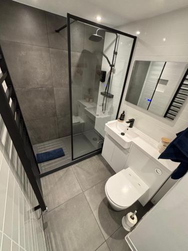 a bathroom with a shower and a toilet and a sink at Cosy, convenient flat in Falmouth in Falmouth