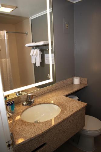 a bathroom with a sink and a toilet and a mirror at Pilgrim Inn & Cottages in Plymouth