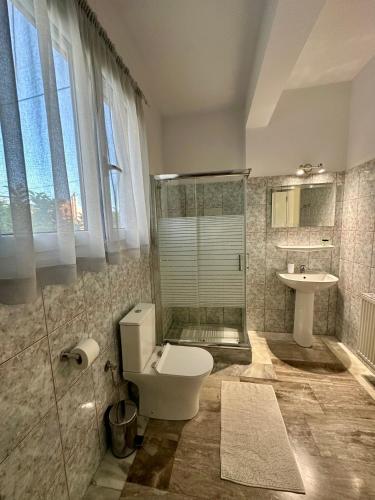 a bathroom with a toilet and a shower and a sink at Mina's serene garden house in Kontokali