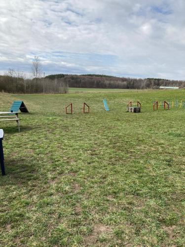 a group of playground equipment in a field at Odensvi Vandrarhem in Odensvi