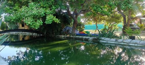 a pool of water with trees and a bridge at Chalés da Cris in Fortim