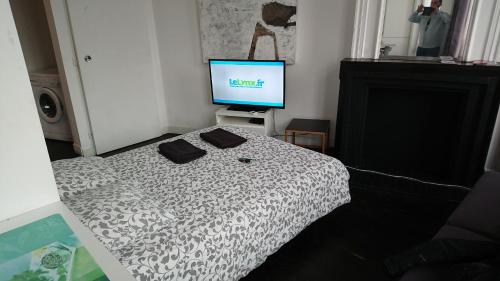 a bedroom with a bed with a television on it at Studio Hypercentre proche gares et métro in Lille