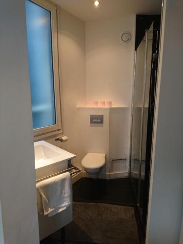 a bathroom with a sink and a toilet and a window at Studio Hypercentre proche gares et métro in Lille