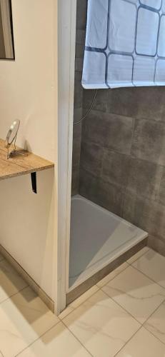 a shower with a glass door in a bathroom at Maison individuelle Grillon avec wifi in Grillon