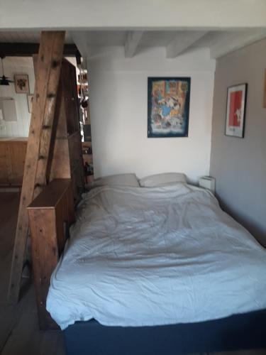 une chambre avec un lit superposé et une échelle dans l'établissement Appartement avec terrasse centre, à Bordeaux